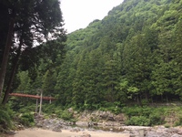 板取川 (3).JPG